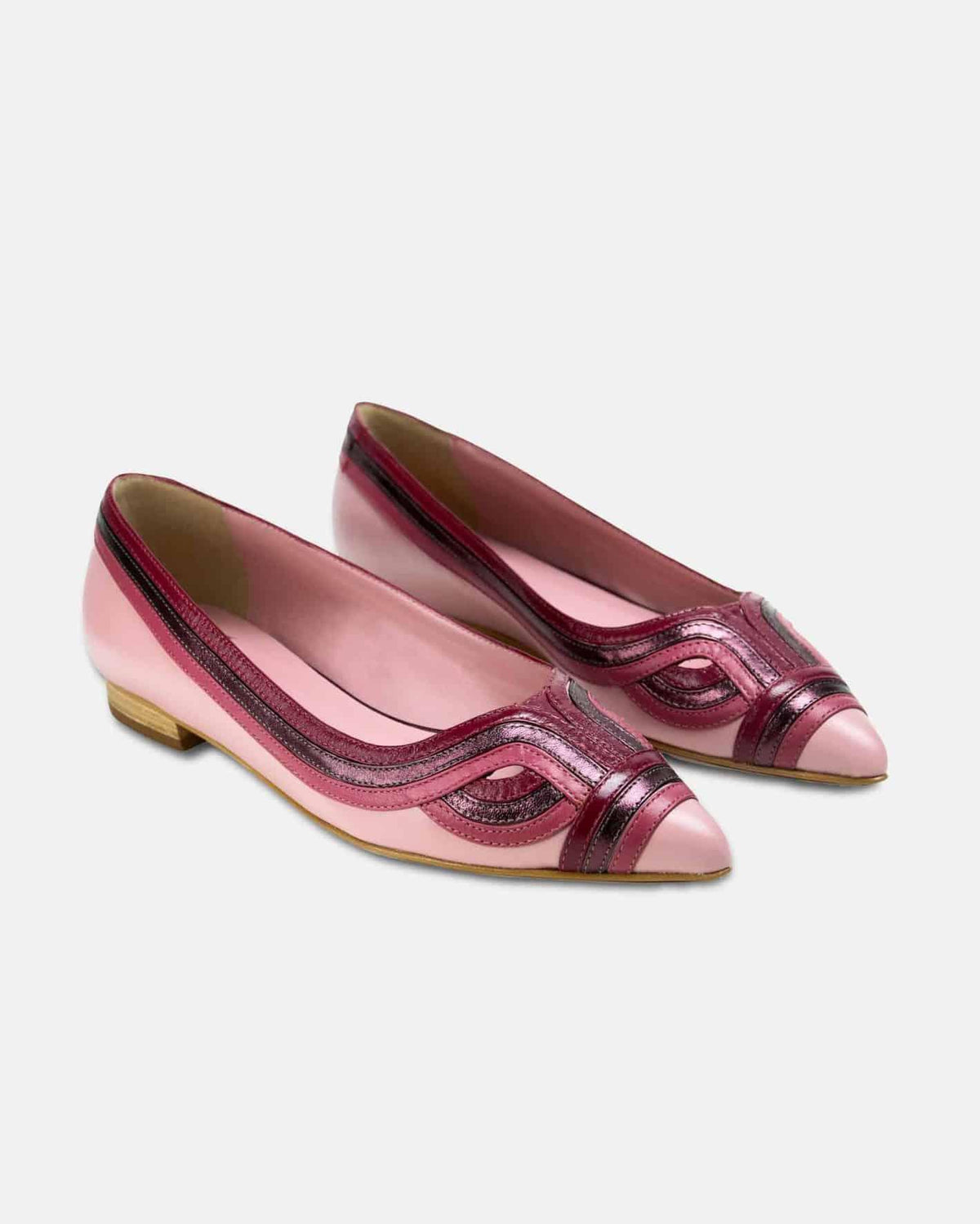 Mangará Begonia Ballerinas