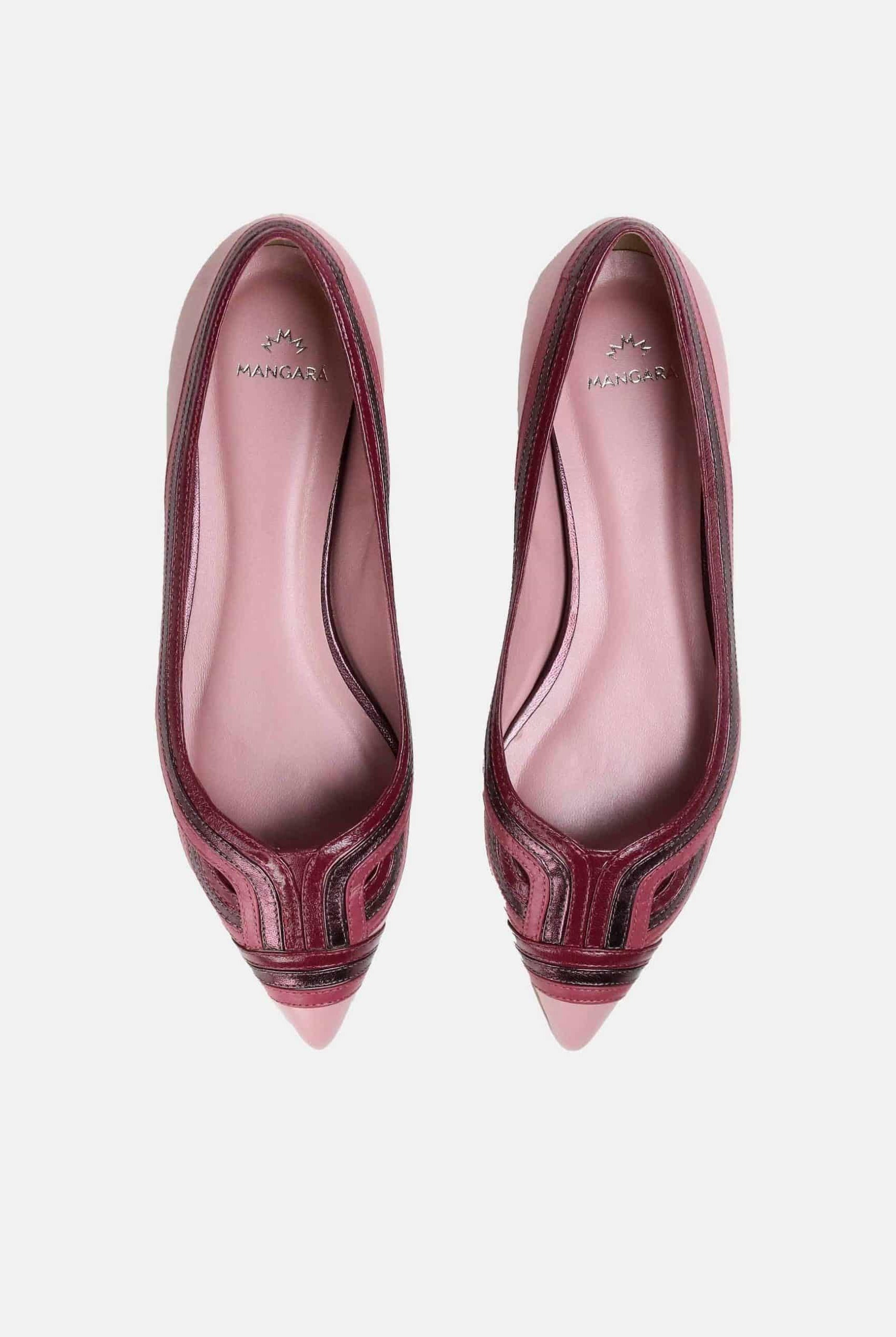 Mangará Begonia Ballerinas