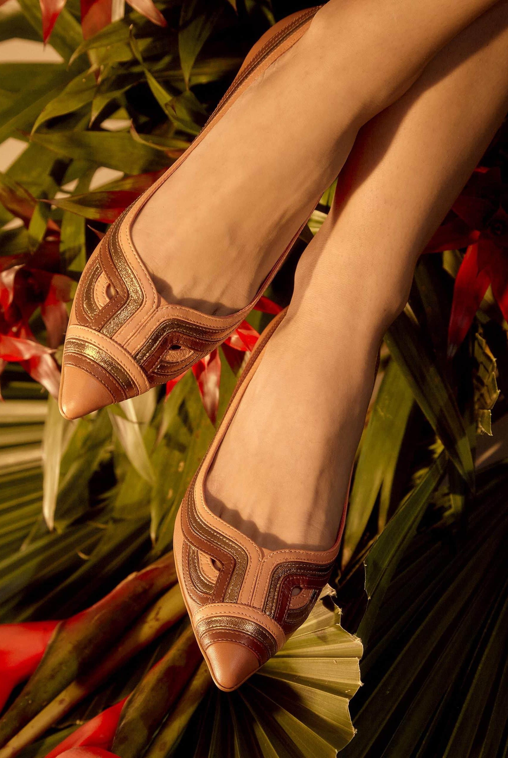 Mangará Begonia Ballerinas